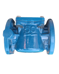 Strainer, Kent, CI, flanged T/D, 50 mm