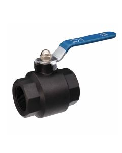 Lever operated female to female BSP thread nylon ball valve, 1/2" - Agrico